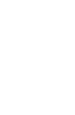 優(yōu)質(zhì)小麥