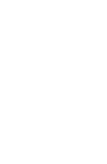 優(yōu)質(zhì)小麥