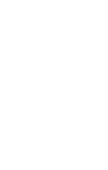 優(yōu)質(zhì)小麥