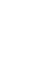 優(yōu)質(zhì)小麥